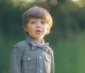 Boys Bow tie - Seersucker Bow Tie - Bow Tie for boys - Dickie Bow for Boys - Toddler Bow Tie - Wedding